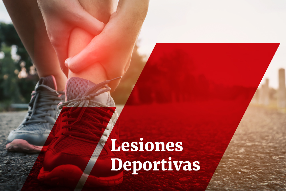 Bachilleratos y Licenciaturas